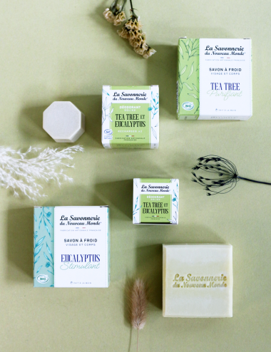 EUCALYPTUS & TEA TREE | Déodorant