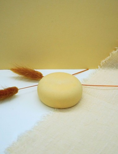 SHAMPOING | Aux Actifs Nourrissants