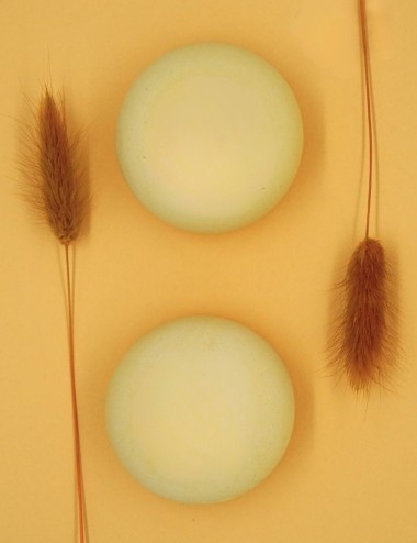 SHAMPOING | Aux Actifs Nourrissants