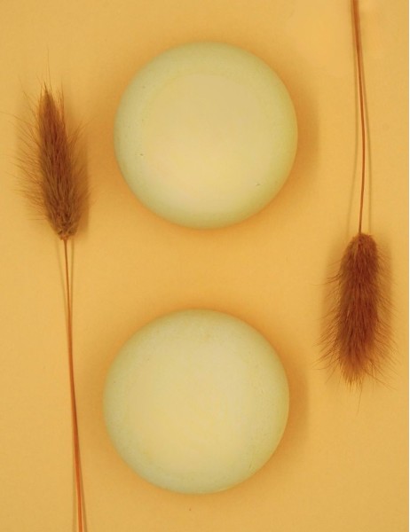 Shampoing | Aux Actifs Nourrissants