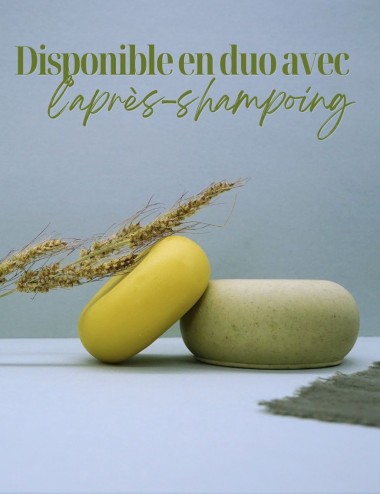 SHAMPOING | Aux Actifs Purifiants